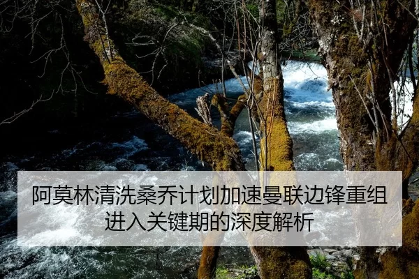 阿莫林清洗桑乔计划加速曼联边锋重组进入关键期的深度解析