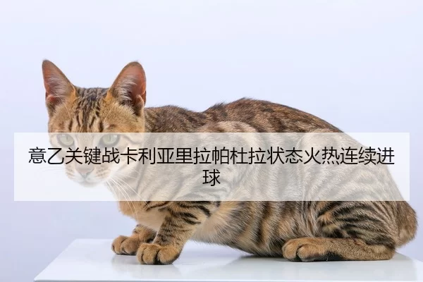 意乙关键战卡利亚里拉帕杜拉状态火热连续进球