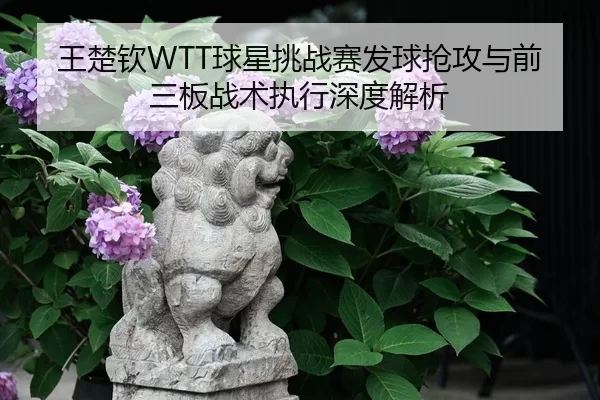 wang-chu-qin-qiu-xing-tiao-zhan-sai-fa-qiu-qiang-gong-yu-qian-san-ban-zhan-shu-zhi-xing-shen-du-jie-xi-2-729.jpg