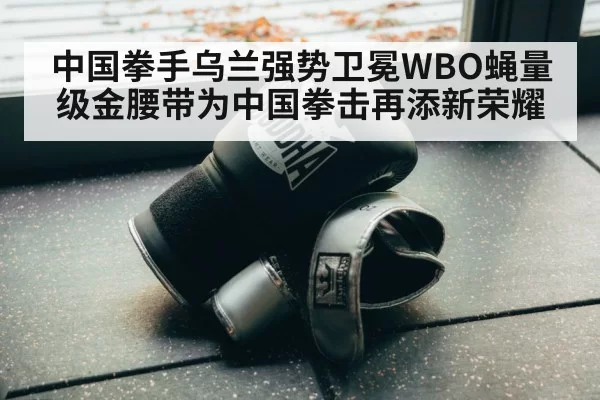 boxing gloves close up